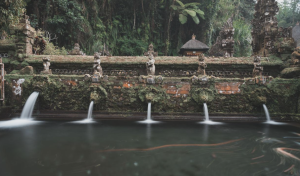 peaceful temple water pool in Ubud quiet area surrounded by jungle